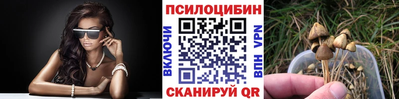 omg зеркало  Верхняя Салда  Галлюциногенные грибы Psilocybe 
